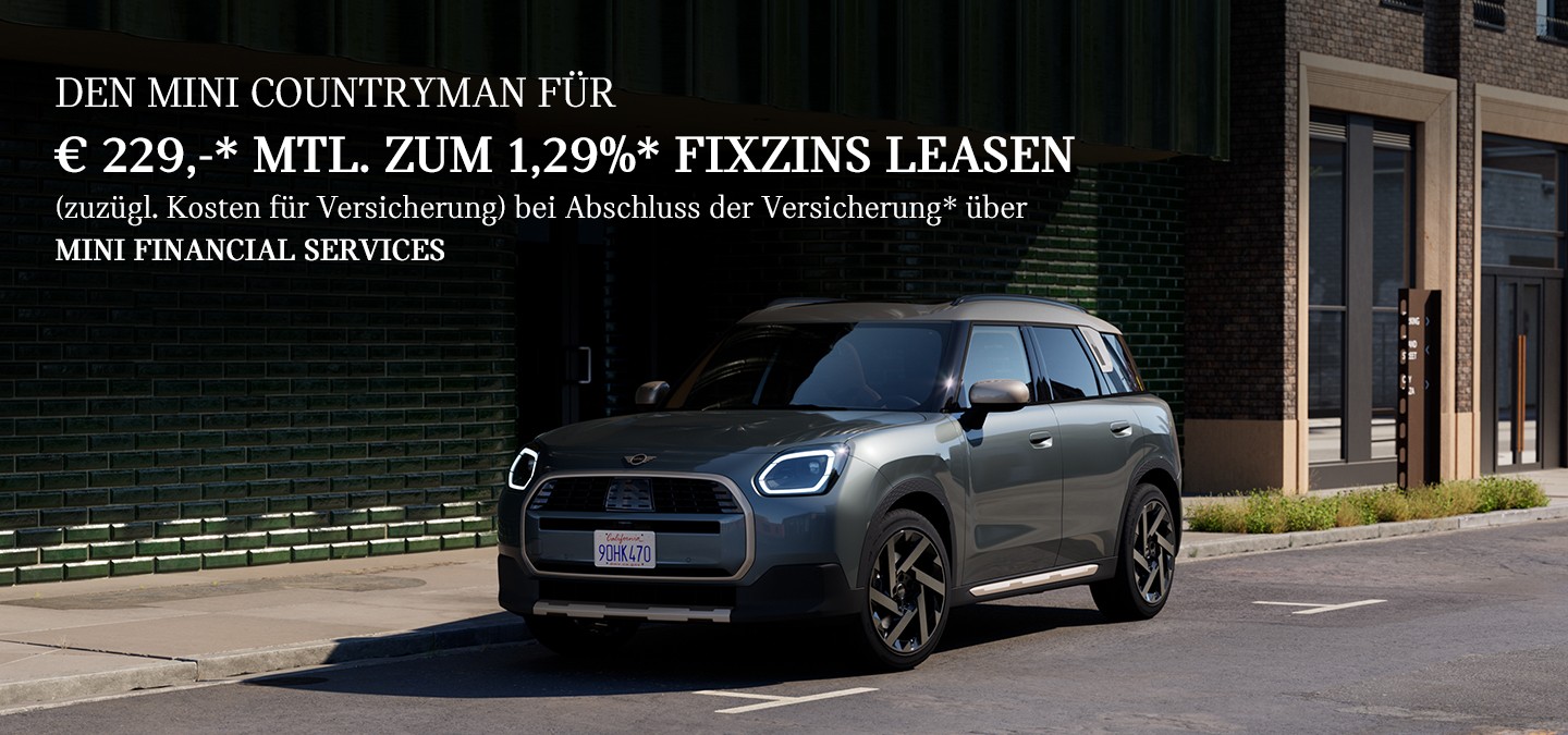 DER MINI COUNTRYMAN